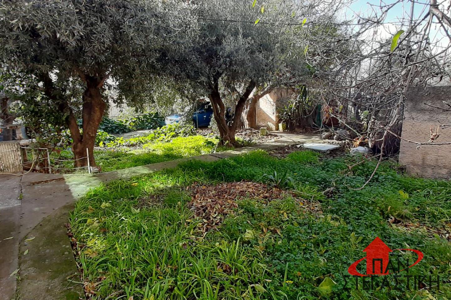property-img