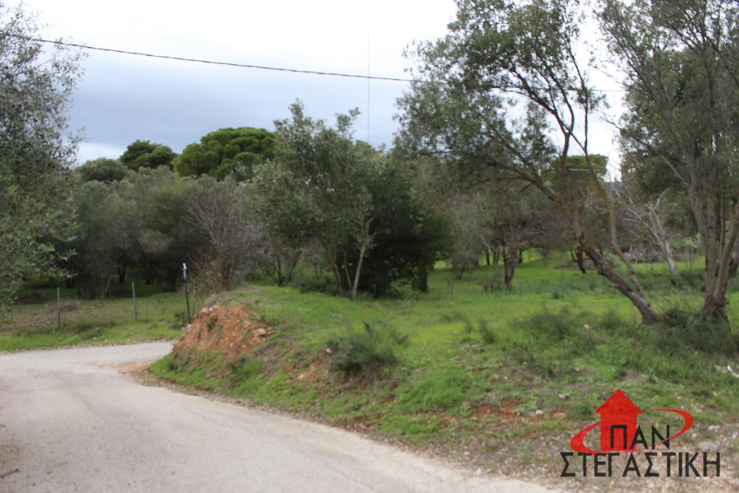 property-img