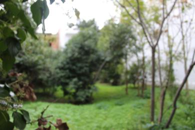 ΗΡΑΚΛΕΙΟ - ΝΕΟ, Οικόπεδο, Πώληση, 476 τ.μ